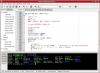 Main window showing the integrated terminal emulation